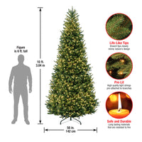 10ft. Pre-Lit Natural Fraser Slim Fir Tree with Clear Lights - National Tree Company