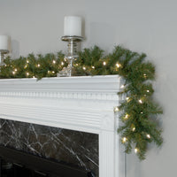 9 ft. Pre-Lit Norwood Fir Garland with Dual Color LED Lights - National Tree Company