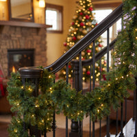 9 ft. Pre-Lit Norwood Fir Garland with Dual Color LED Lights - National Tree Company