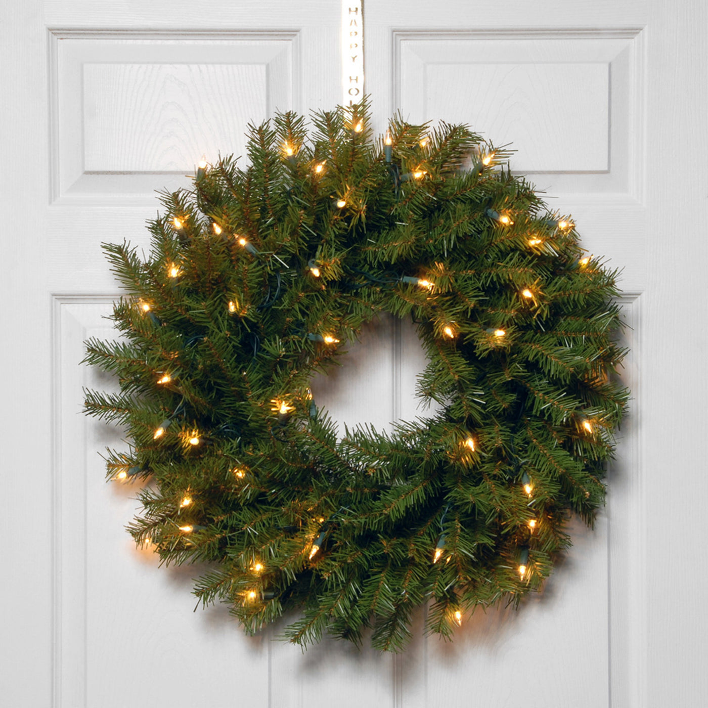 24 in. Pre-Lit Norwood Fir Wreath with Battery Operated Warm White LED Lights - National Tree Company