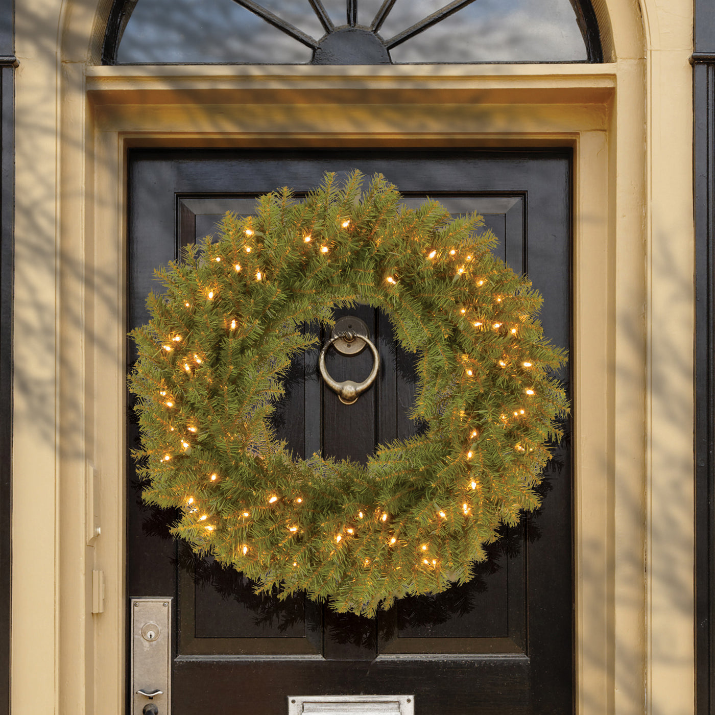 30 in. Pre-Lit Norwood Fir Wreath with Warm White LED Lights - National Tree Company