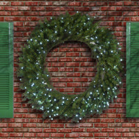 48 in. Pre-Lit Norwood Fir Wreath with Multicolor Lights - National Tree Company