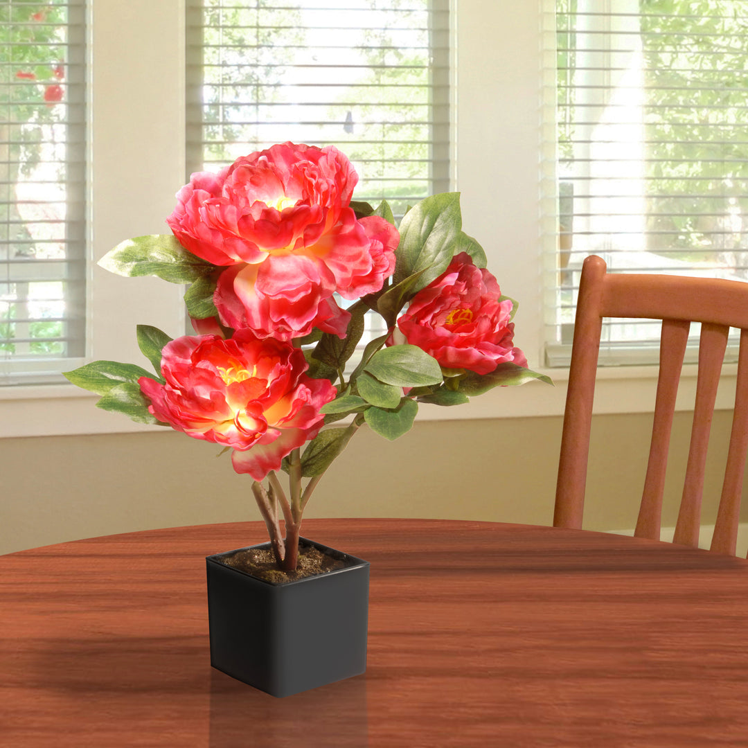 Artificial Potted Flower, Red Peony, Incudes Black Base, Spring Collection, 15 Inches