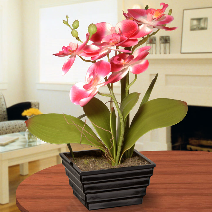 Artificial Potted Flowers, Pink Orchids, Includes Black Base, Spring Collection, 12 Inches