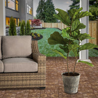 43" Fiddle Leaf Fig Tree - National Tree Company