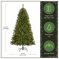 6.5 ft. Pre-Lit North Valley Spruce Tree with Clear Lights - National Tree Company