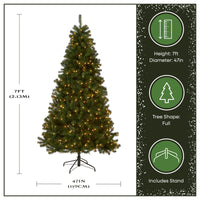 7 ft. Pre-Lit North Valley Spruce Tree with 500 Clear Lights, Plug-In - National Tree Company