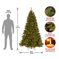 7 ft. Pre-Lit North Valley Spruce Tree with 500 Clear Lights, Plug-In - National Tree Company