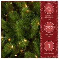 6 ft. Pre-Lit North Valley Spruce Pencil Slim Hinged Tree with Warm White LED Lights - National Tree Company