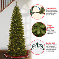 6 ft. Pre-Lit North Valley Spruce Pencil Slim Tree with Clear Lights, Plug-In - National Tree Company