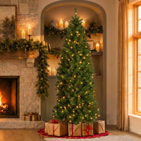 6.5 ft. Pre-Lit North Valley Spruce Pencil Slim Tree with Clear Lights - National Tree Company