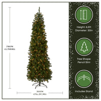 6.5 ft. Pre-Lit North Valley Spruce Pencil Slim Tree with Clear Lights - National Tree Company