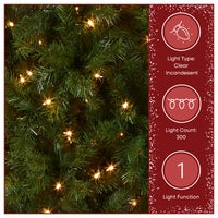 6.5 ft. Pre-Lit North Valley Spruce Pencil Slim Tree with Clear Lights - National Tree Company