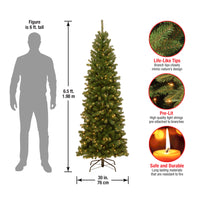 6.5 ft. Pre-Lit North Valley Spruce Pencil Slim Tree with Clear Lights, Plug-In - National Tree Company