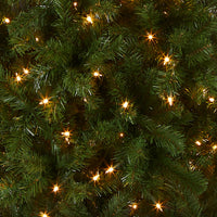 7.5 ft. Pre-Lit North Valley Spruce Pencil Slim Tree with Clear Lights - National Tree Company