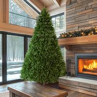 12 ft. North Valley Spruce Tree - National Tree Company
