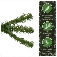 12 ft. North Valley Spruce Tree - National Tree Company