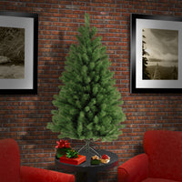 4 ft. North Valley Spruce Tree - National Tree Company