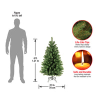 4 ft. North Valley Spruce Tree - National Tree Company