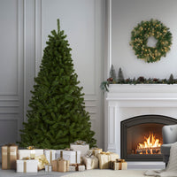 6 ft. North Valley Spruce Tree - National Tree Company