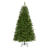 6.5 ft. North Valley Spruce Tree - National Tree Company