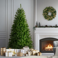 6.5 ft. North Valley Spruce Tree - National Tree Company