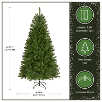 6.5 ft. North Valley Spruce Tree - National Tree Company