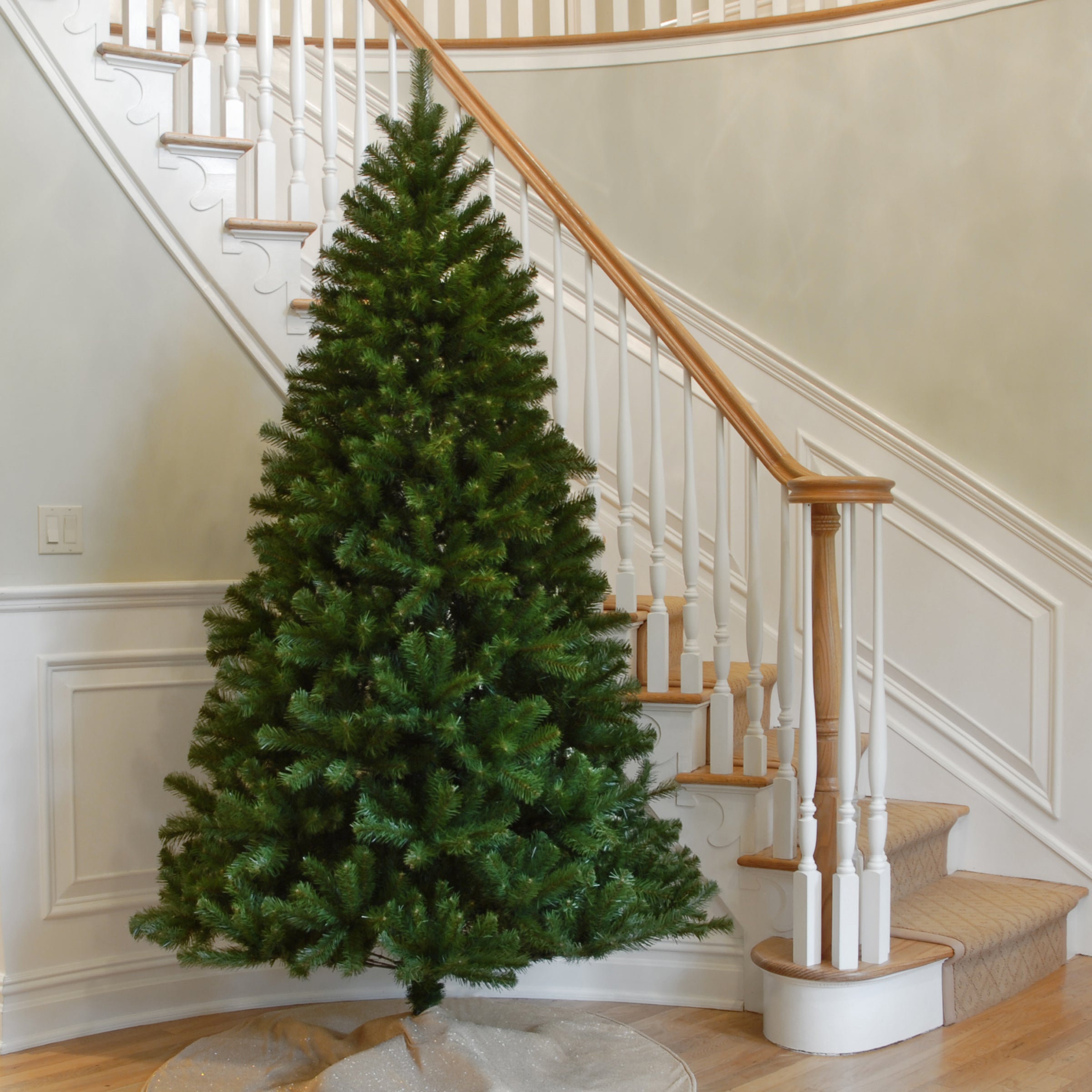 7.5 ft. North Valley Spruce Tree · National Tree Company
