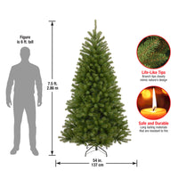 7.5 ft. North Valley Spruce Tree - National Tree Company