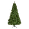 9 ft. North Valley Spruce Tree - National Tree Company