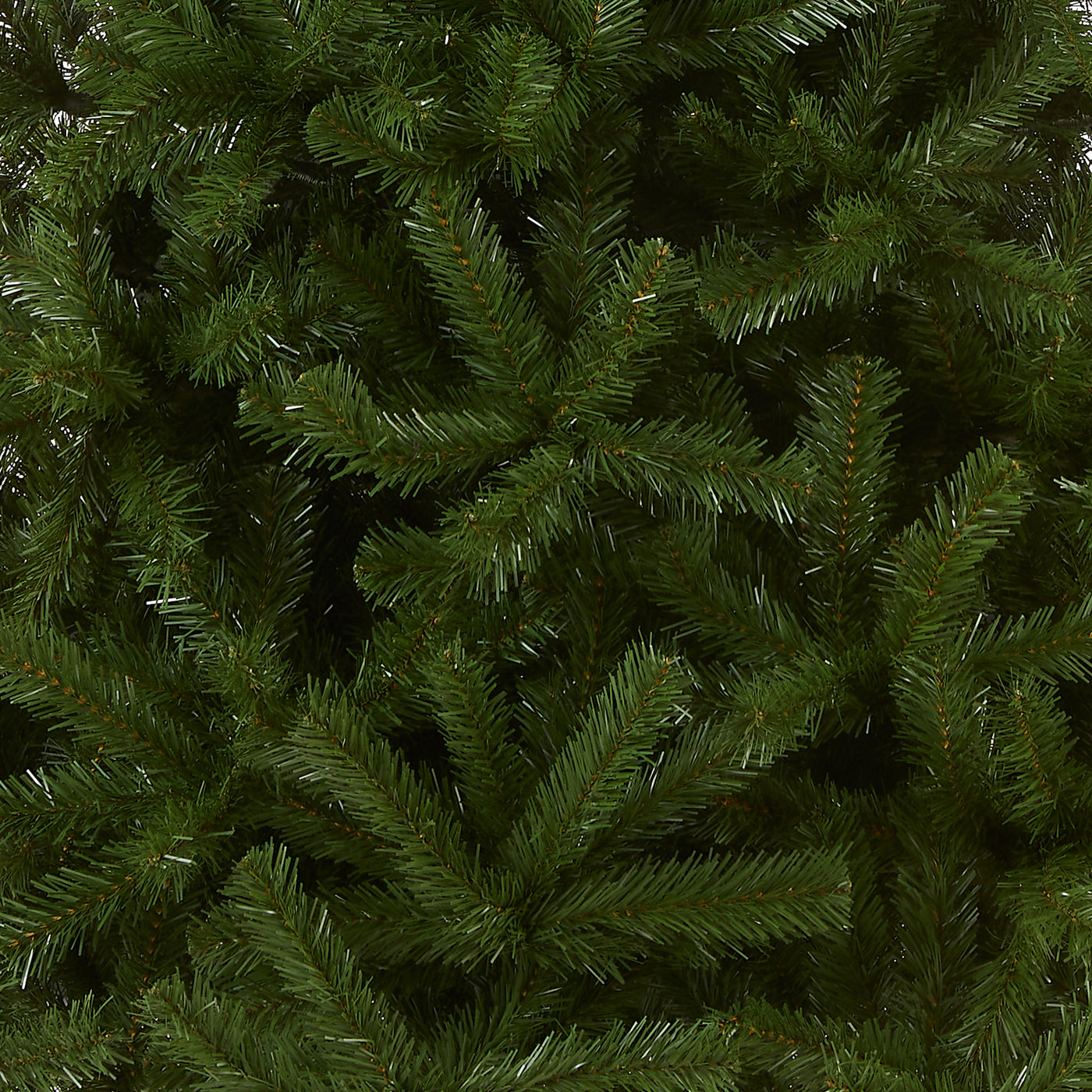 9 ft. North Valley Spruce Tree - National Tree Company