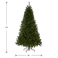 9 ft. North Valley Spruce Tree - National Tree Company