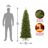 6 ft. North Valley Spruce Pencil Slim Tree - National Tree Company