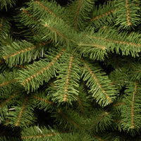 6.5 ft. North Valley Spruce Pencil Slim Tree - National Tree Company