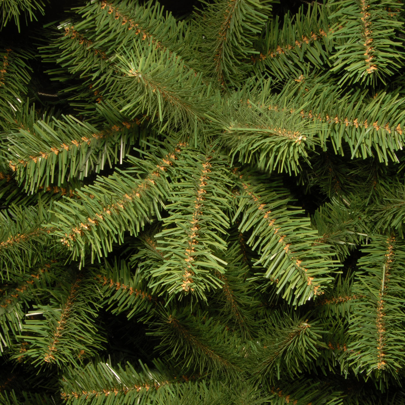 9 ft. North Valley Spruce Pencil Slim Tree - National Tree Company