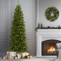 9 ft. North Valley Spruce Pencil Slim Tree - National Tree Company