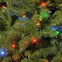 9 ft. Pre-Lit North Valley Spruce Tree with  PowerConnect Dual Color LED Lights, Plug-In - National Tree Company