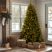 9 ft. Pre-Lit North Valley Spruce Tree with  PowerConnect Dual Color LED Lights - National Tree Company