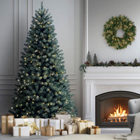 9 ft. Pre-Lit Blue North Valley Spruce Tree with Clear Lights - National Tree Company