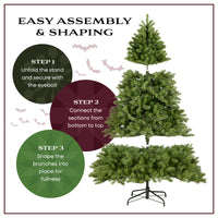 7.5 ft. Halloween Pre-Lit North Valley Spruce Full Black Hinged Tree with White Lights, Plug-In - National Tree Company