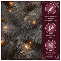 7.5 ft. Halloween Pre-Lit North Valley Spruce Full Black Hinged Tree with White Lights, Plug-In - National Tree Company