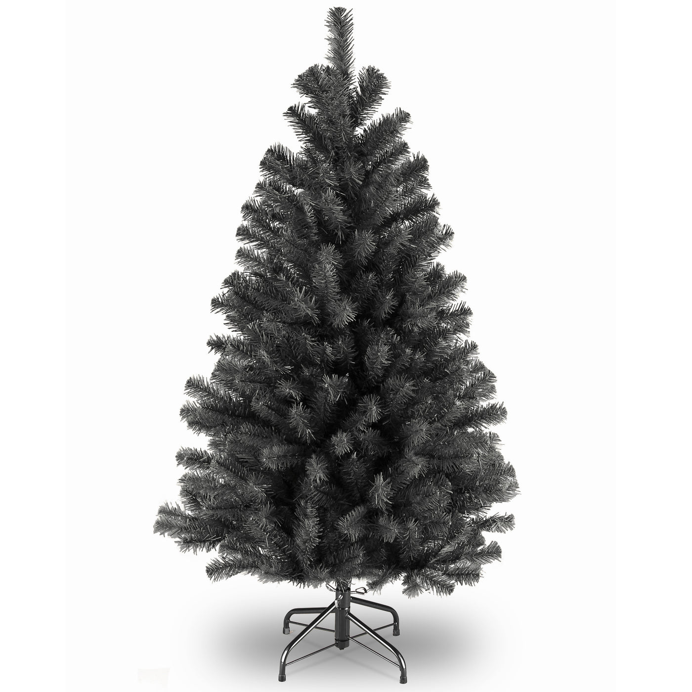 4.5 ft. North Valley Black Spruce Tree - National Tree Company