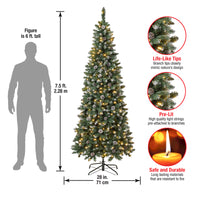 7.5 ft. Pre-Lit Oakley Hills Slim Tree with LED Lights - National Tree Company