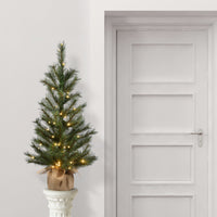 3 ft. Pre-Lit Frosted Ontario Pine Tree with White LED Lights - National Tree Company