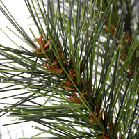 3 ft. Pre-Lit Frosted Ontario Pine Tree with White LED Lights - National Tree Company