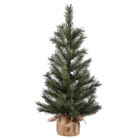 3 ft. Pre-Lit Frosted Ontario Pine Tree with White LED Lights - National Tree Company