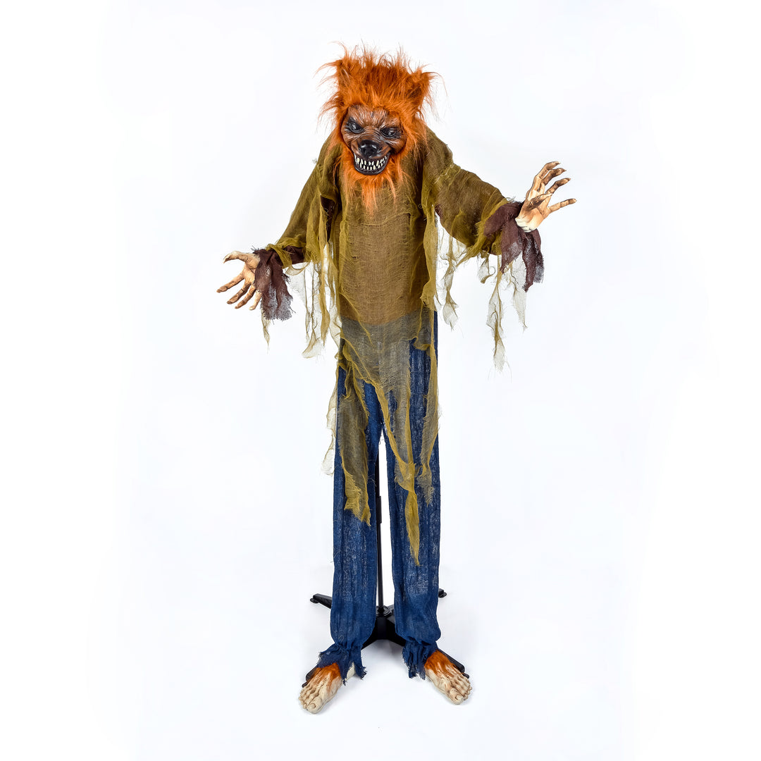 Halloween Pre Lit Animated Werewolf, Brown, Sound Activated, LED Lights, Battery Operated, 63 Inches