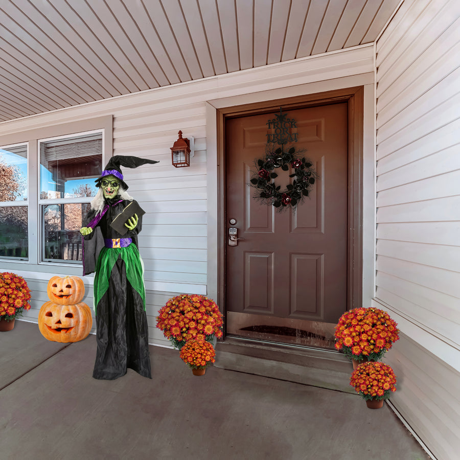 Halloween Pre Lit Animated Wicked Witch, Black, Sound Activated, LED Lights, Battery Operated, 6 Feet