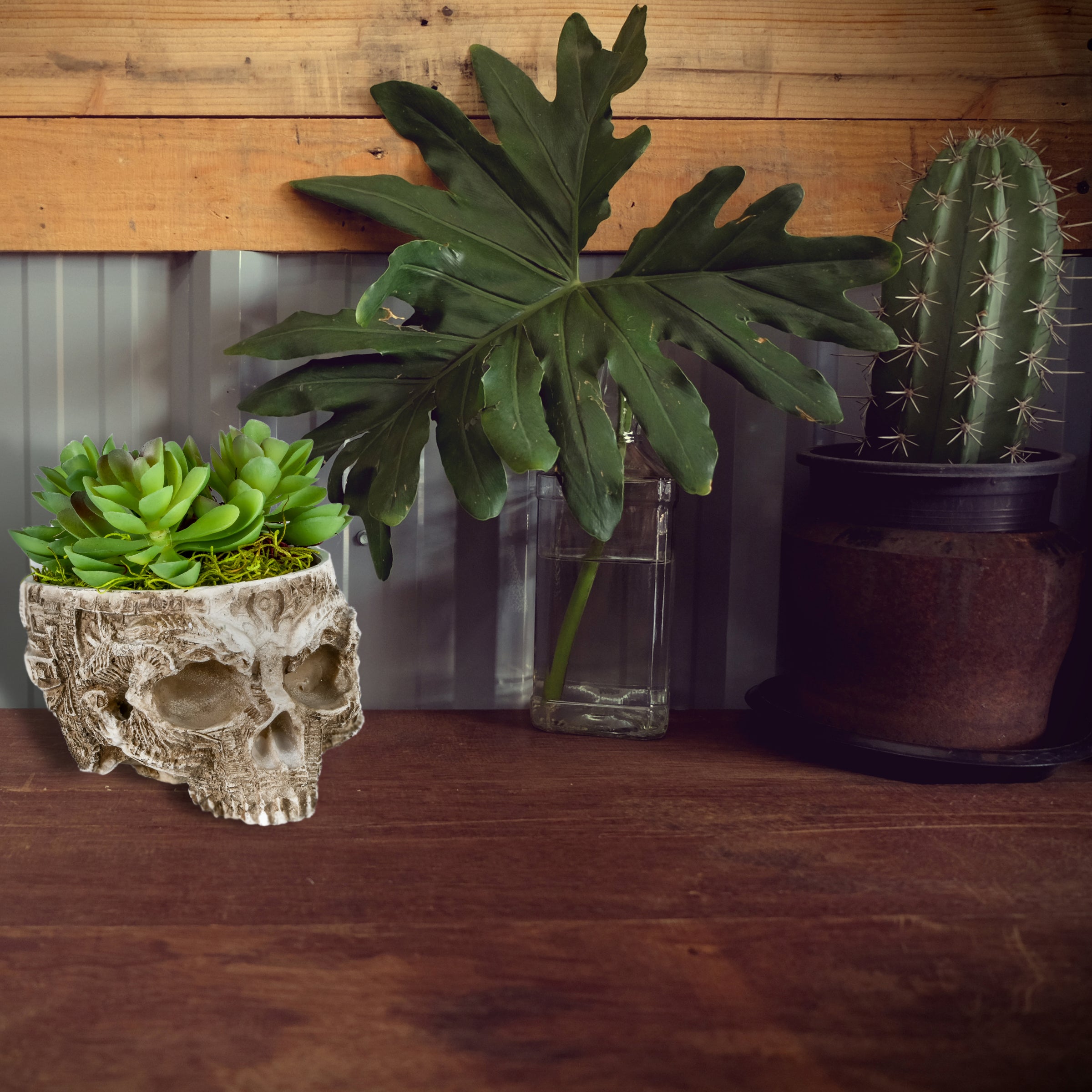 Halloween Half Skull Flower Pot, White, Hand Crafted, 6 Inches