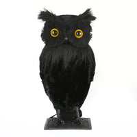 Halloween Tabletop Decoration, Black, Lifelike Owl, 11 Inches - National Tree Company